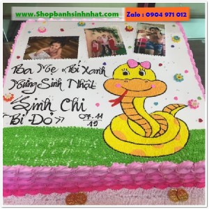 Bánh Sinh Nhật Cao Cấp - BE74